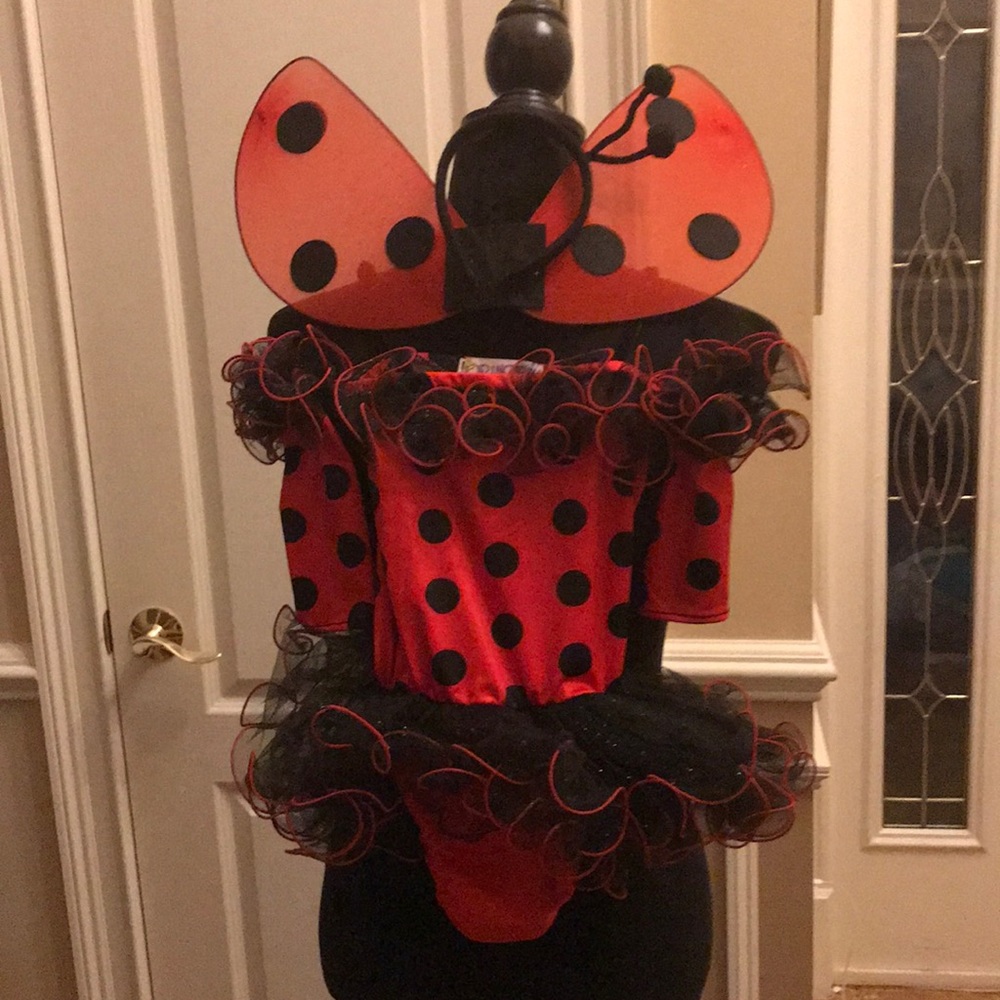 Princess Paradise - Lady Bug Costume
